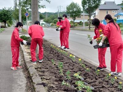 国道花壇整備２