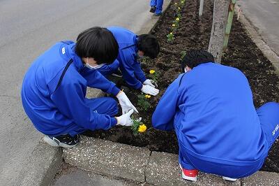 国道花壇整備３