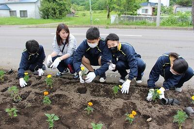 国道花壇整備４