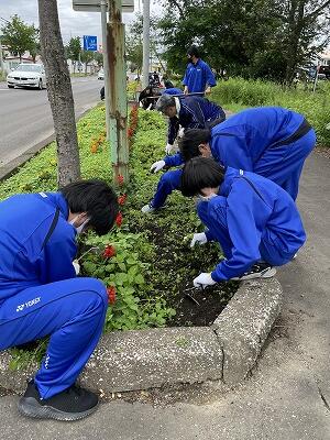 国道花壇整備１