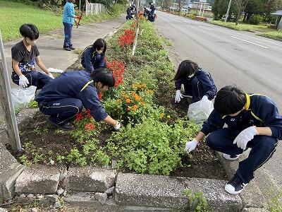 国道花壇整備１