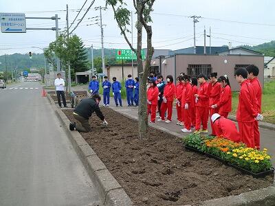 国道花壇植栽２