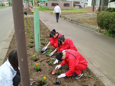 国道花壇植栽３