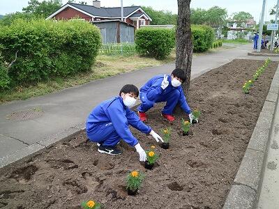 国道花壇植栽４