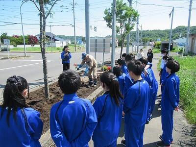 国道花壇植栽①