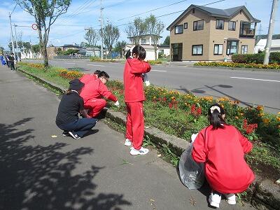 国道花壇整備②