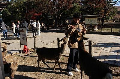 見学旅行４日目④